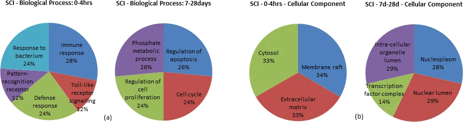 Evolution and Controllability of Cancer Networks: a Boolean Perspective