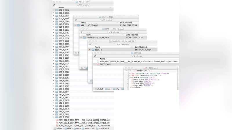 An Integrated e-science Analysis Base for Computation Neuroscience   Experiments and Analysis