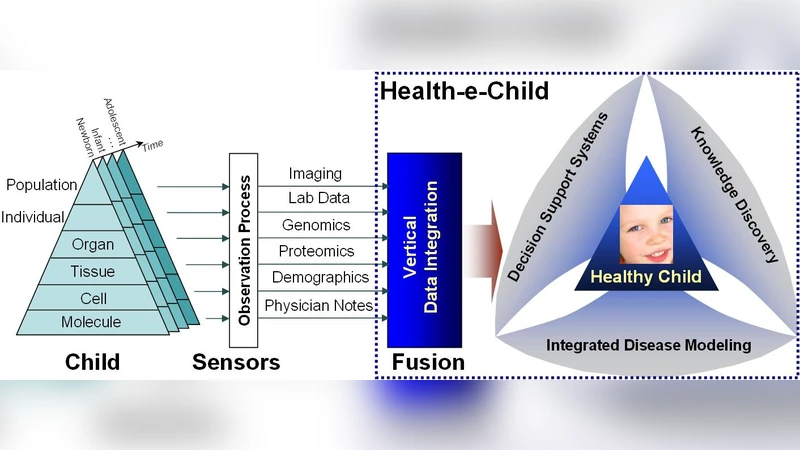 Data Management Challenges in Paediatric Information Systems