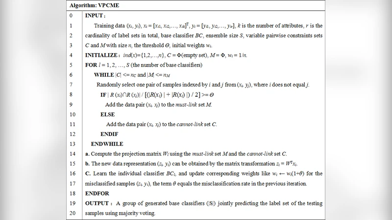 Multi-label ensemble based on variable pairwise constraint projection