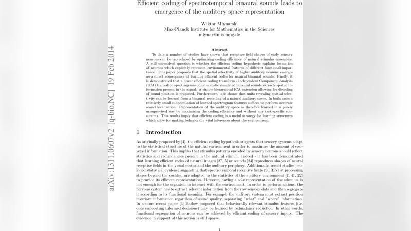Efficient coding of spectrotemporal binaural sounds leads to emergence   of the auditory space representation