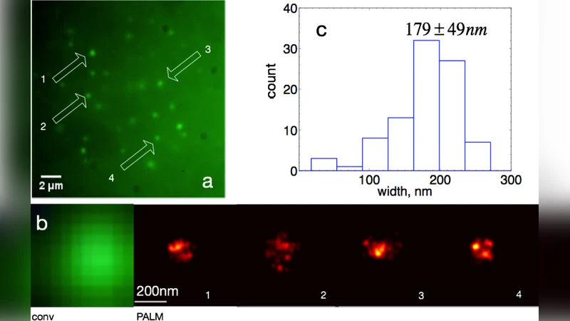 CRISPR/Cas9 For Photoactivated Localization Microscopy (PALM)
