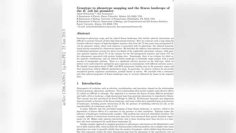 Genotype to phenotype mapping and the fitness landscape of the E. coli   lac promoter