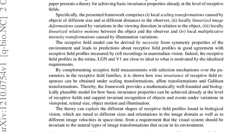 Invariance of visual operations at the level of receptive fields