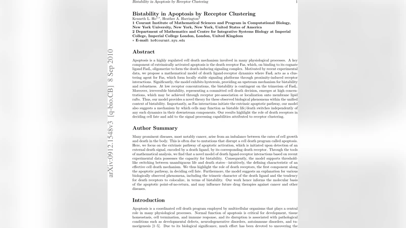 How random are a learners mistakes?