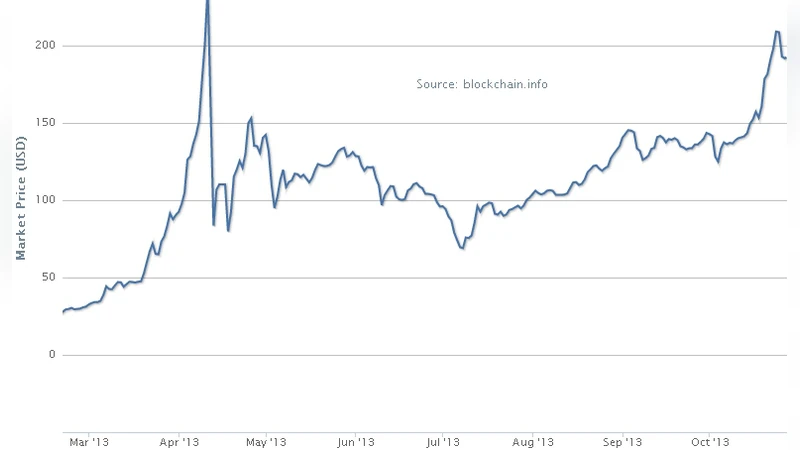 The Unreasonable Fundamental Incertitudes Behind Bitcoin Mining