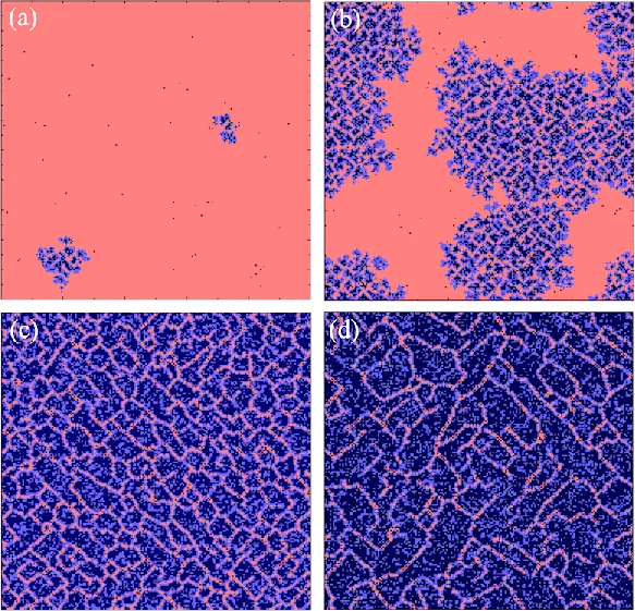 Self-organization towards optimally interdependent networks by means of   coevolution