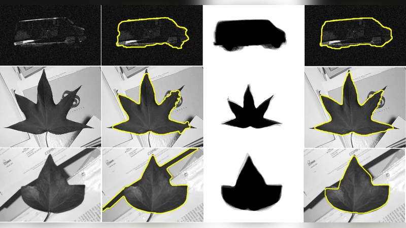 Iterative graph cuts for image segmentation with a nonlinear statistical   shape prior