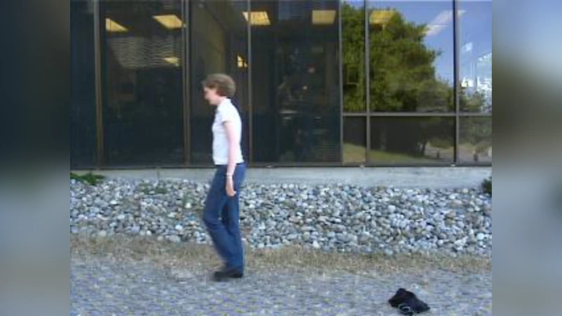 Block matching algorithm based on Harmony Search optimization for motion   estimation