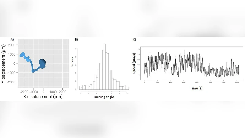 Transient Leadership and Collective Cell Movement in Early Diverged   Multicellular Animals