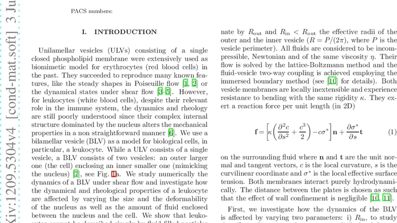 Complex Dynamics of a Bilamellar Vesicle as a Simple Model for   Leukocytes
