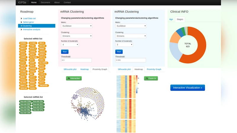 iGPSe: A Visual Analytic System for Integrative Genomic Based Cancer   Patient Stratification