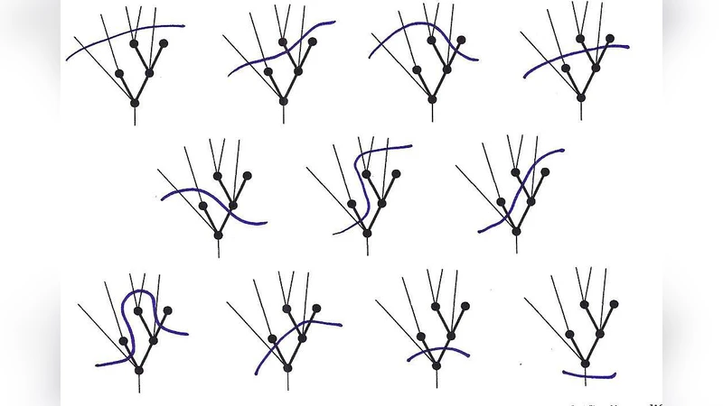 Categorification of Hopf algebras of rooted trees