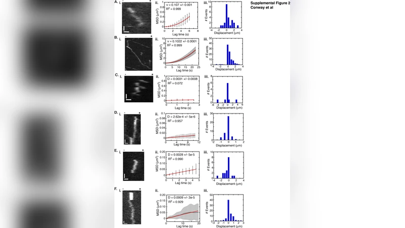 A simple proof of Bells inequality
