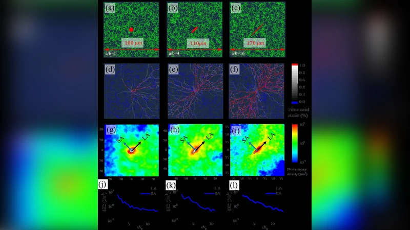 Remodeling of Fibrous Extracellular Matrices by Contractile Cells:   Predictions from Discrete Fiber Network Simulations