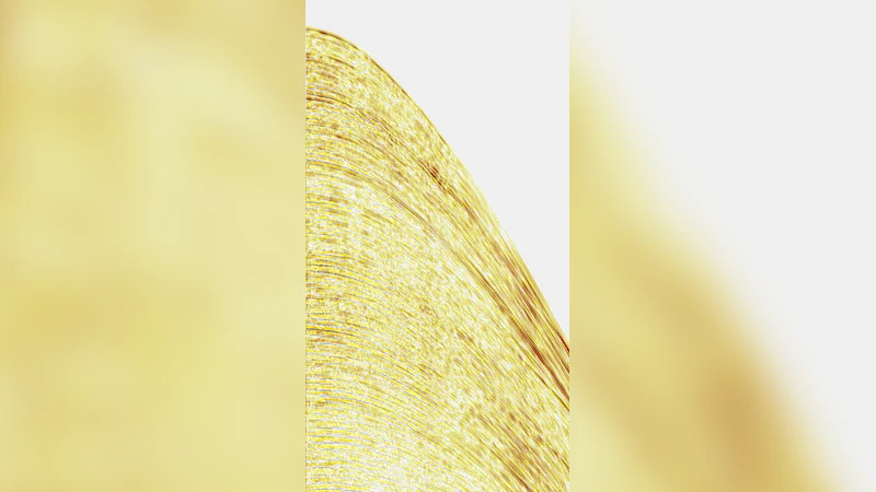 Adaptive multiple subtraction with wavelet-based complex unary Wiener   filters