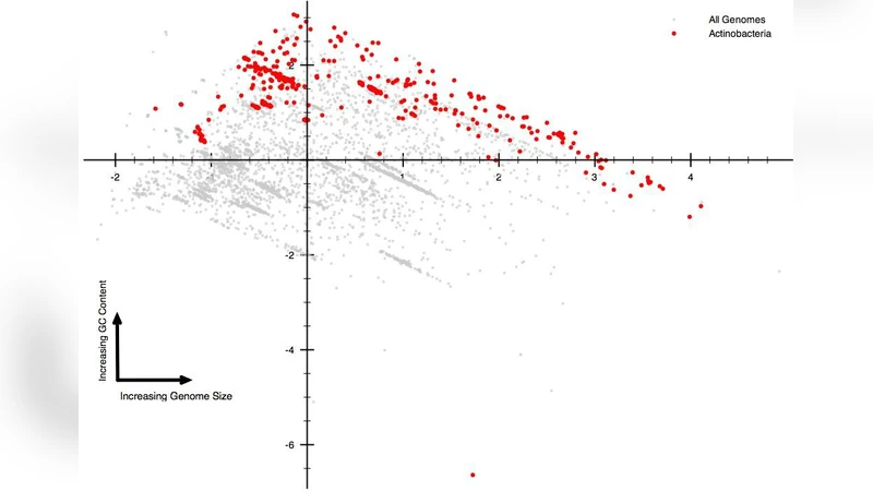 The role of Junk DNA