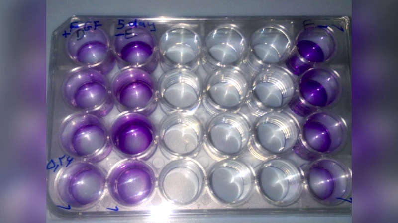 Experimental Investigation of Distant Cellular Interaction among Adipose   Derived Stem-Cells