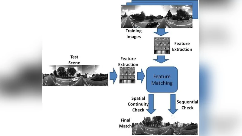 Memetic Search in Differential Evolution Algorithm