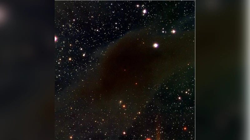 Discovery of a Wide Binary Brown Dwarf Born in Isolation