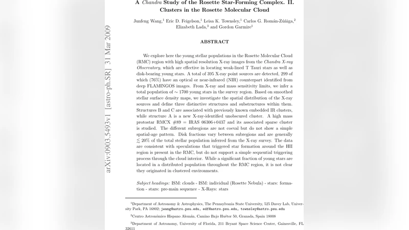 A Chandra Study of the Rosette Star-Forming Complex. II. Clusters in the   Rosette Molecular Cloud