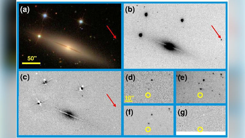 A faint type of supernova from a white dwarf with a helium-rich   companion
