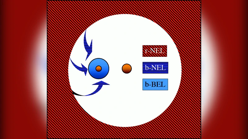 The warm ionized medium in spiral galaxies