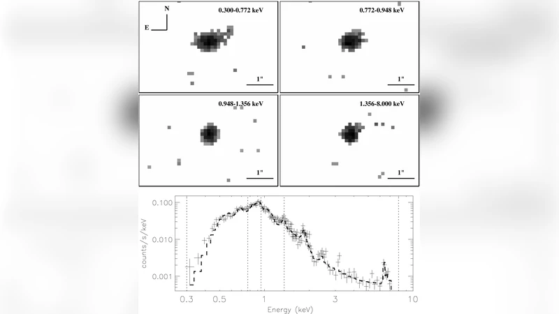 Chandra detection of extended X-ray emission from the recurrent nova RS   Ophiuchi