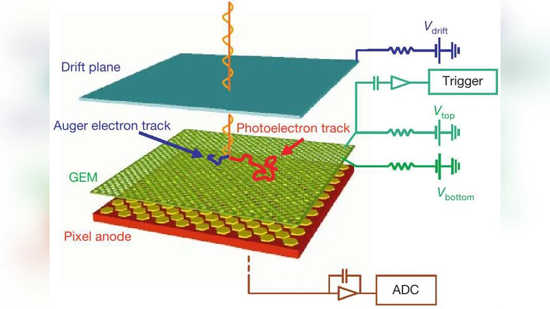 X-ray polarimetry in Astrophysics with the Gas Pixel Detector