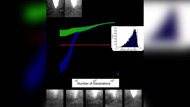 Visual Noise from Natural Scene Statistics Reveals Human Scene Category   Representations