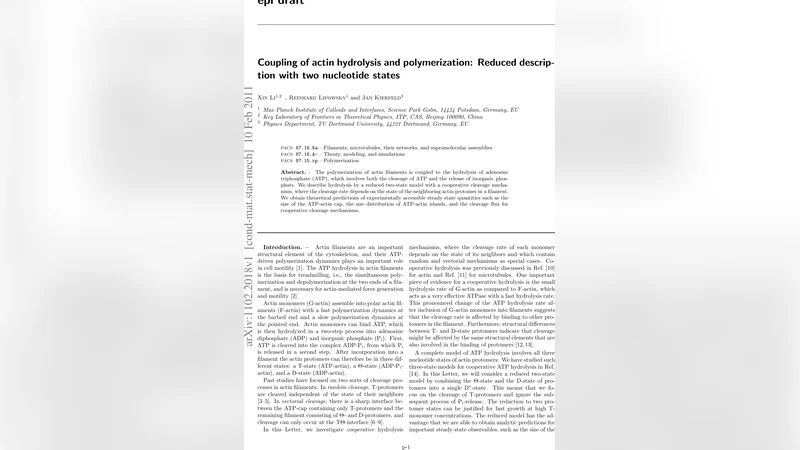 Coupling of actin hydrolysis and polymerization: Reduced description   with two nucleotide states
