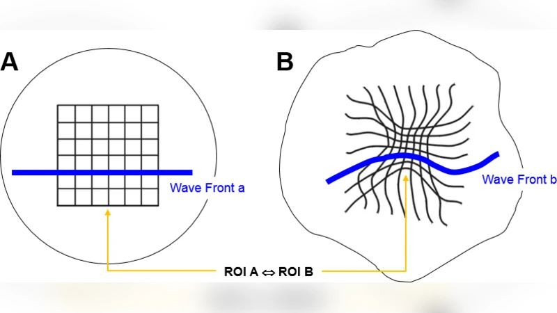 Approximated Computation of Belief Functions for Robust Design   Optimization