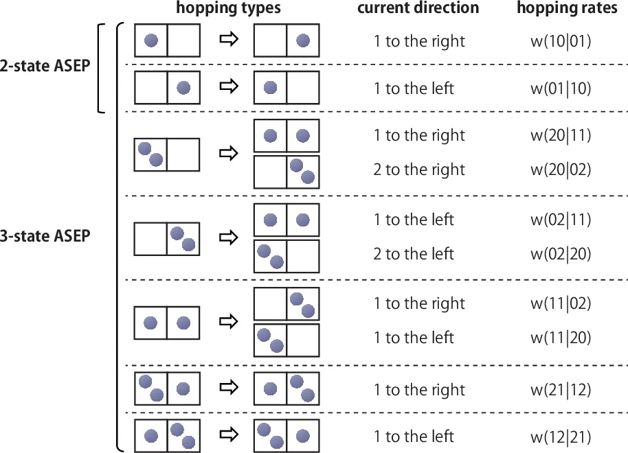Multi-state asymmetric simple exclusion processes
