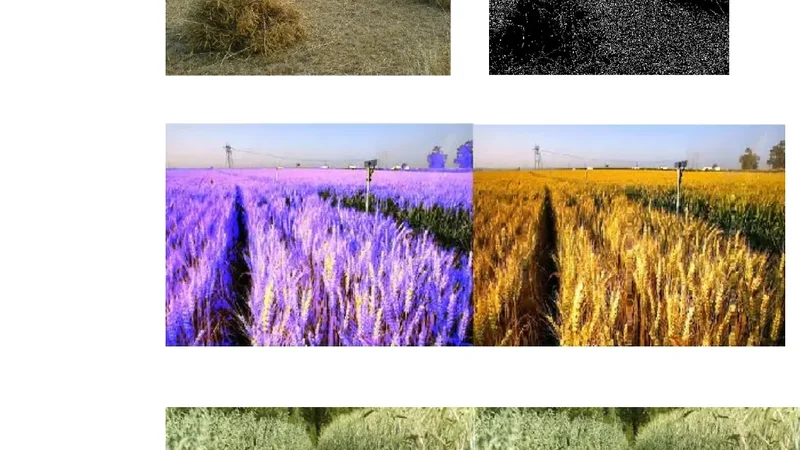 Autonomous Farm Vehicles: Prototype of Power Reaper