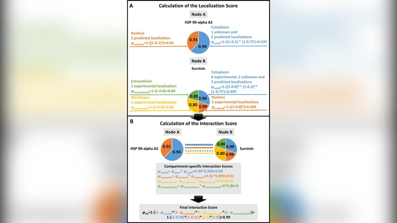 ComPPI, a cellular compartment-specific database for protein-protein   interaction network analysis