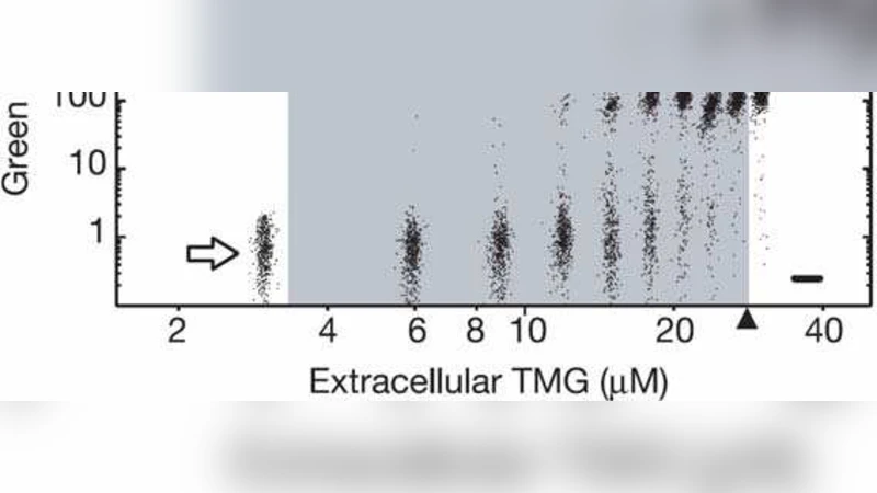 Network Topology as a Driver of Bistability in the lac Operon
