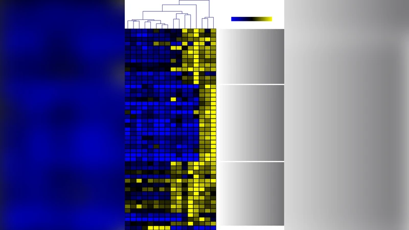 Transcriptomic and metabolomic analysis of copper stress acclimation in   Ectocarpus siliculosus highlights signaling and tolerance mechanisms in brown   algae