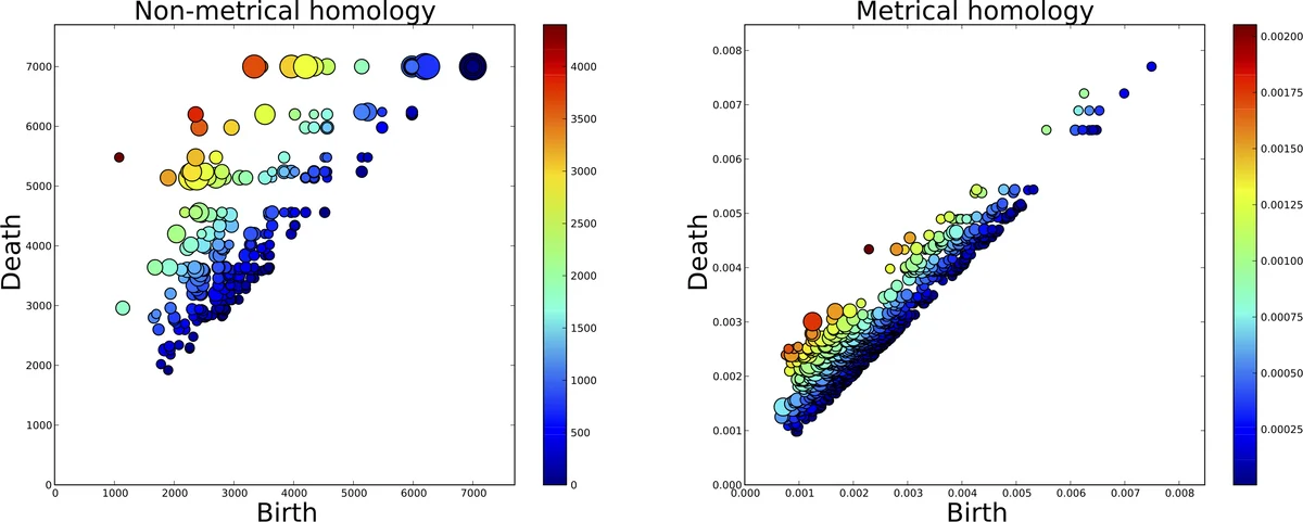 Understanding the Emergence of Seemingly Useless Features in Next-Token Predictors