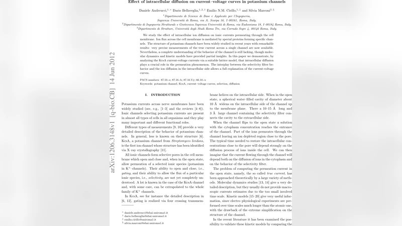 Effect of intracellular diffusion on current-voltage curves in potassium   channels