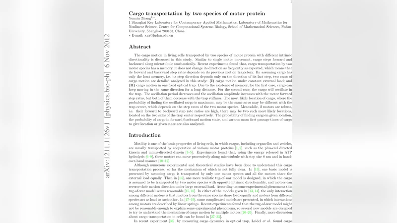 Cargo transportation by two species of motor protein