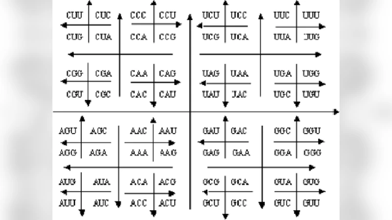 The Genetic Code revisited: Inner-to-outer map, 2D-Gray map, and   World-map Genetic Representations