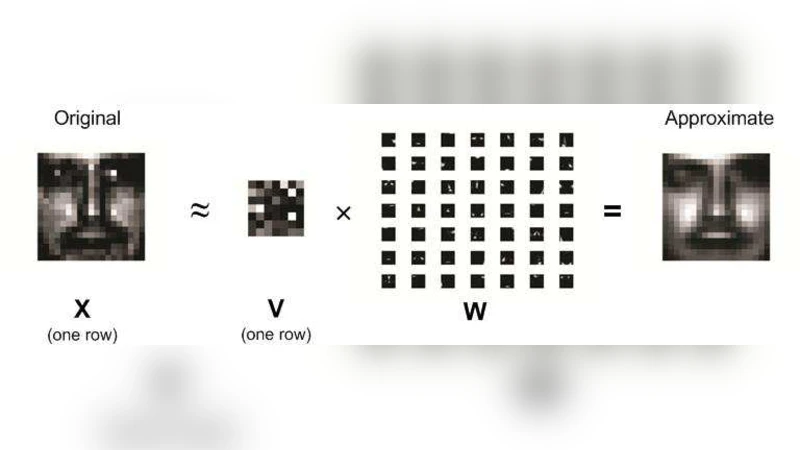 Graphics Processing Units and High-Dimensional Optimization