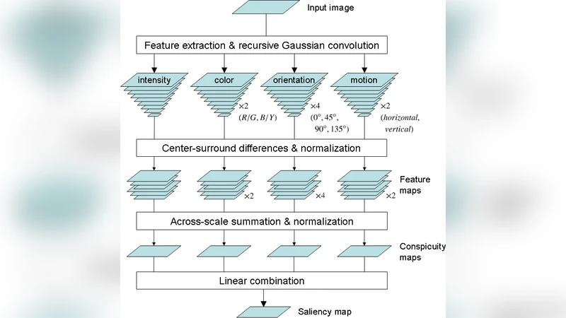 A stochastic model of human visual attention with a dynamic Bayesian   network
