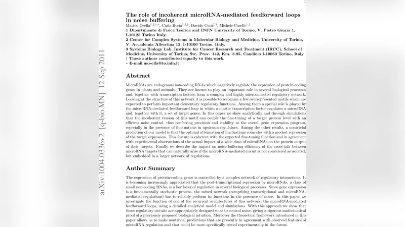 The role of incoherent microRNA-mediated feedforward loops in noise   buffering