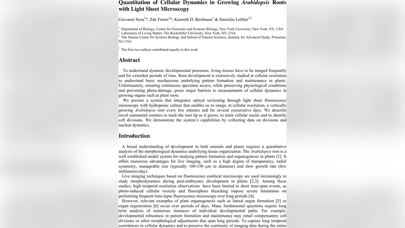 Quantitation of Cellular Dynamics in Growing Arabidopsis Roots with   Light Sheet Microscopy