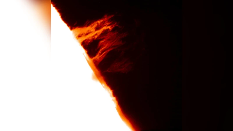 EUV lines observed with EIS/Hinode in a solar prominence