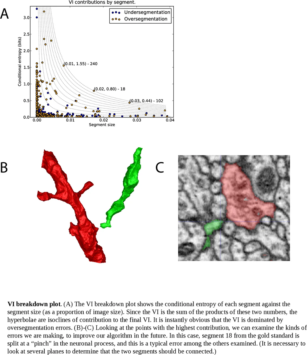 Machine learning of hierarchical clustering to segment 2D and 3D images