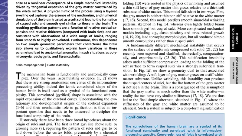 Gyrification from constrained cortical expansion
