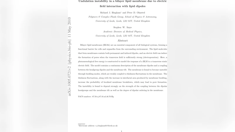 Undulation instability in a bilayer lipid membrane due to electric field   interaction with lipid dipoles