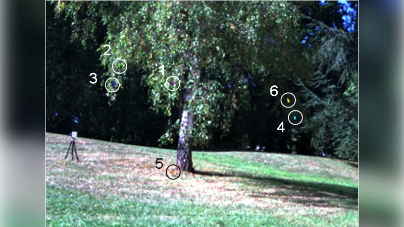 Adaptive band selection snapshot multispectral imaging in the VIS/NIR   domain